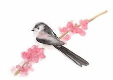 Long Tail Tit Original