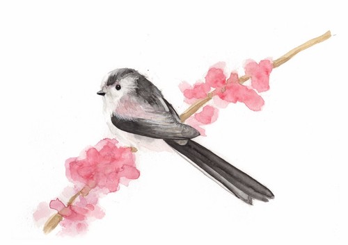Long tail tit original - tail,