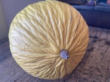 VTG Penkridge Ceramics