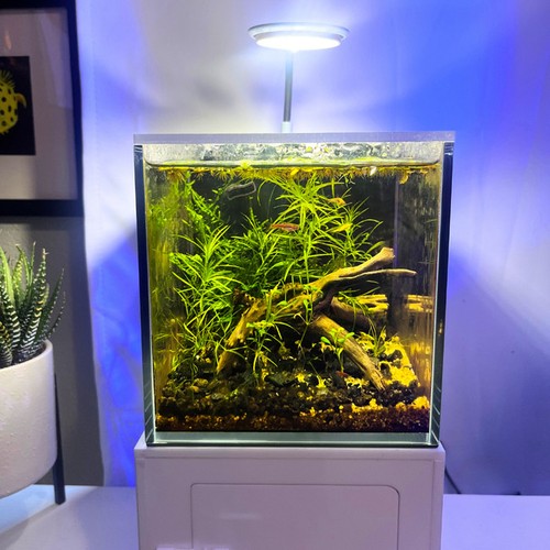 Glass small one gallon - small-in-one,