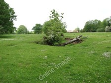 Photo 6x4 Sheep pasture Little