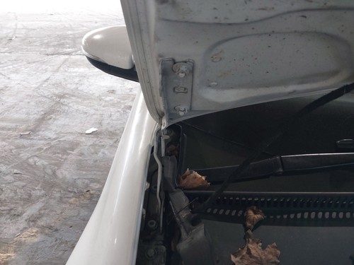 Bonnet hinge volkswagen - bonnet,