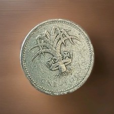 1985 Circulated 1 Pound Coin