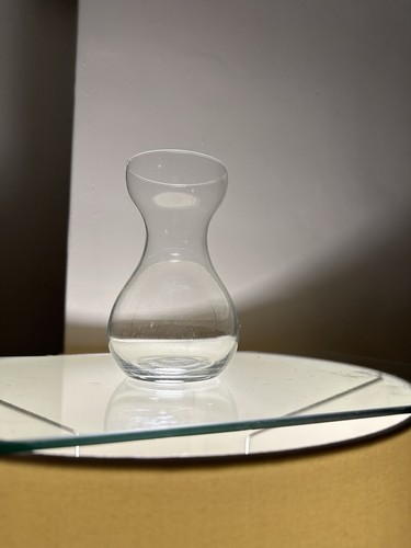 Clear glass hyacinth bulb vase - glass,