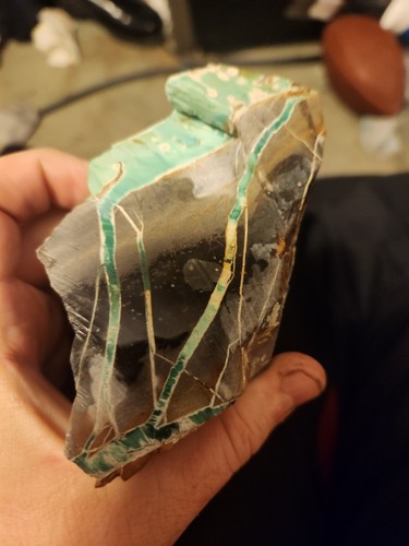 Tree frog ribbon variscite - tree,