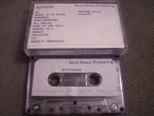 VERY RARE PROMO Skiploader