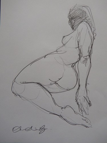 Female nude pencil drawing - nude,