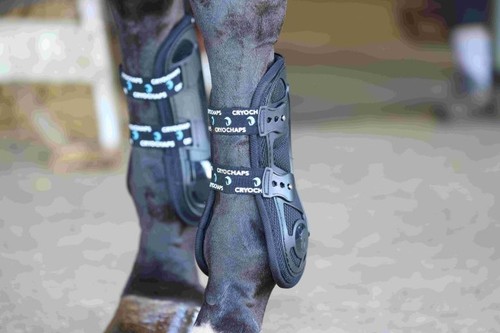 Cryochaps exoskeleton tendon - cryochaps,