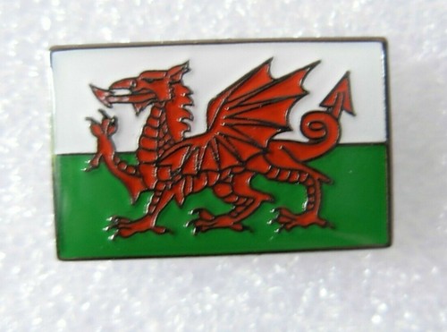 Welsh flag pin - , badge.