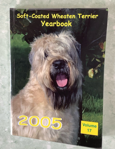 Soft coated wheaten terrier - wheaten,