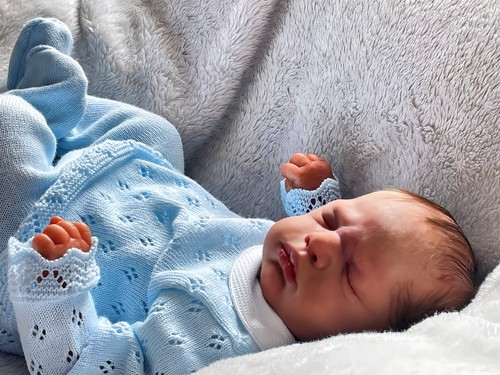 New baby nest delivery - new, nest*