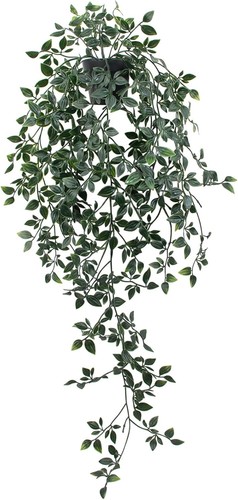 Fake hanging plant with - hanging,