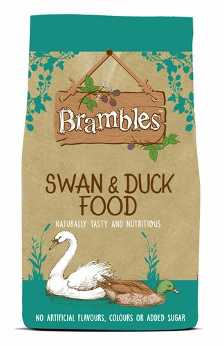 Brambles swan duck food - swan,