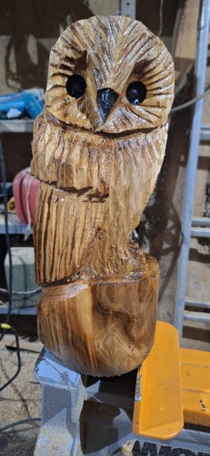 Chainsaw carving owl - chainsaw, home