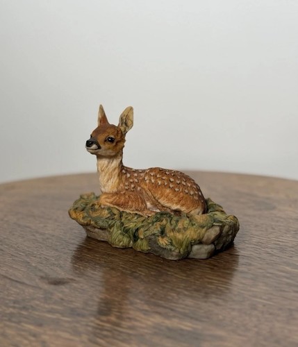 Border fine arts - fine, fawn