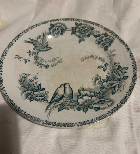 Antique french amand terre - amand,