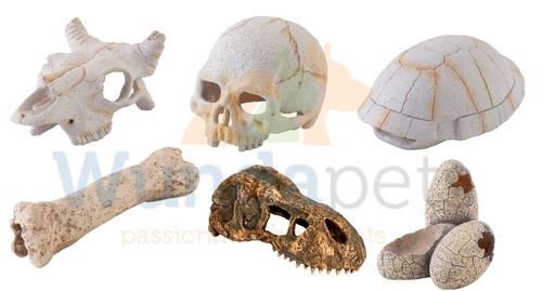 Exo terra resin skeleton - terra,
