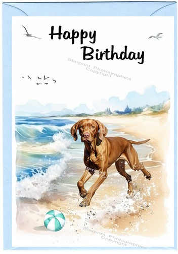 Hungarian vizsla dog birthday - dog,