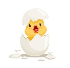 Fluffy Feather Farm egg box -