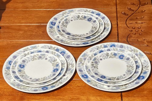 Wedgwood clementine pattern - wedgwood,