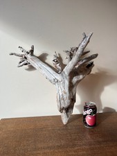 Driftwood Piece tall  sunbleached silver tree Bogwood  for  vivarium, or Display
