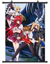 5063 Highschool DxD HERO Decor