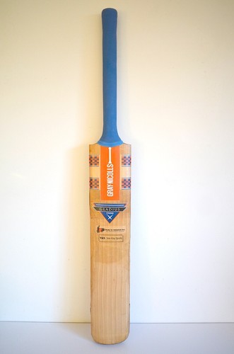 Vintage cricket bat gray - bat,