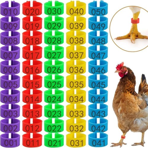 100pcs poultry leg tags band - 100pcs,