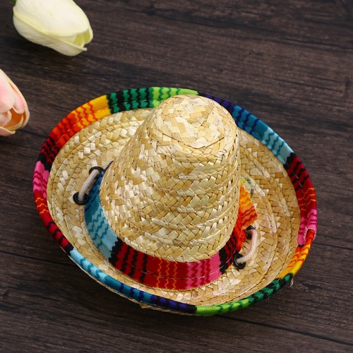 Cat hat sombrero - hat, puppy