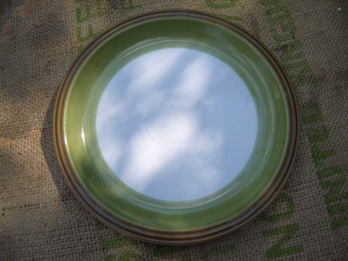 Vintage denby rochester - rochester, dinner