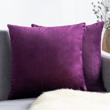 Plush Velvet Cushion Cover