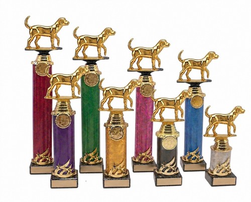 Personalised gold dog - gold, show