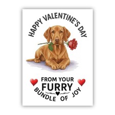 Vizsla Dog Valentine's Day