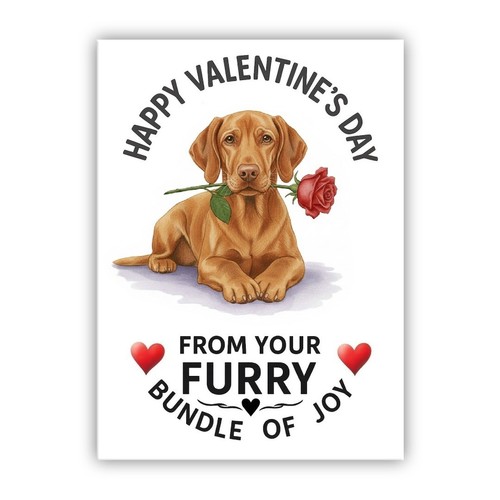 Vizsla dog valentine - vizsla,