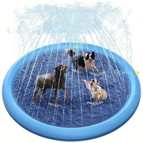 Dog swimming pool - dog,