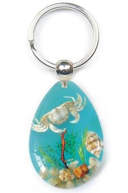 Real sealife scene key - real,