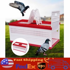 Racing Pigeon Carrier Box Bird