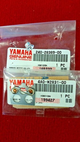 Yamaha tz500 fairing - yamaha,