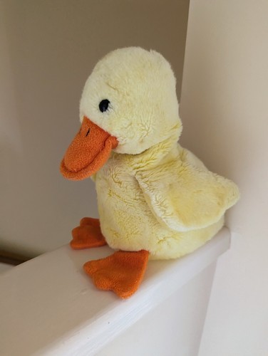 Beanie quackers the - the, 8"