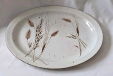 Large Oval Serving Plate Wedgwood Midwinter Stonehenge Wild Oats Pattern 