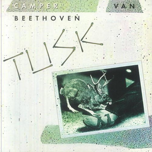 Camper van beethoven tusk - van,