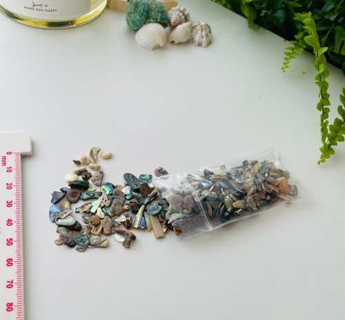 Abalone paua shell pieces - abalone,