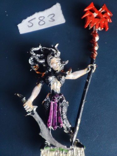 Witch elf standard bearer - elf,