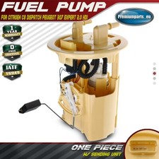 Fuel Pump In Tank for Citroen