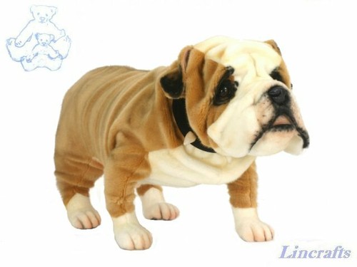 Hansa british bulldog 5626 - hansa,