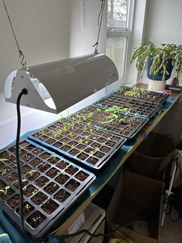 Agrobrite indoor fluorescent - indoor,