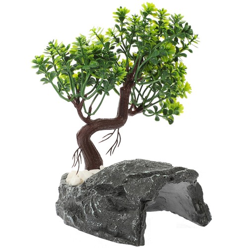 Large reptile cave - reptile, turtle