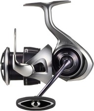 Daiwa 25 CALDIA LT4000-CXH