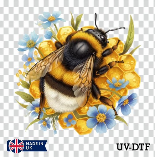 Floral bee honey comb uv - on,