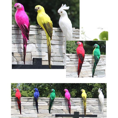 Simulation parrot foam - simulation,